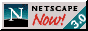 netnow3-try.gif (1837 bytes)